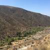 View of Del Dios Gorge from Lake Hodges Dam.