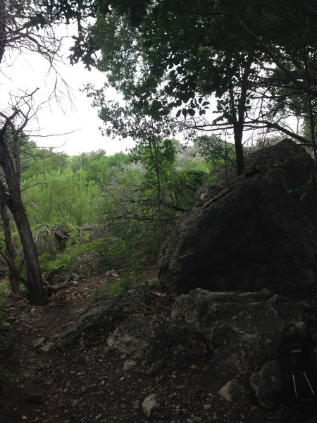 Biggest Rock on the trail.