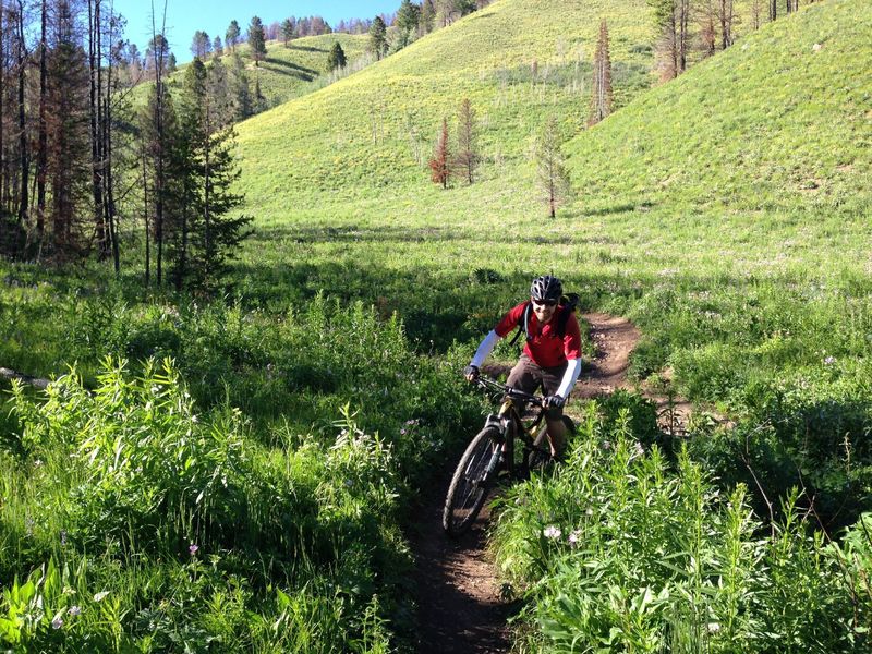 Descending Game Creek Trail.. sh*t eating grins abound!