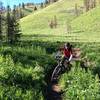 Descending Game Creek Trail.. sh*t eating grins abound!