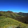 Starting the glorious descent into West Game Creek. The burned out forest w/green grass and flowers is simply stunning