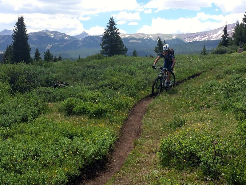 Near the start of Wilder Gulch Trail