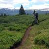 Near the start of Wilder Gulch Trail