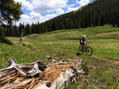 The last bit of meadow before heading into the trees.