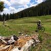 The last bit of meadow before heading into the trees.