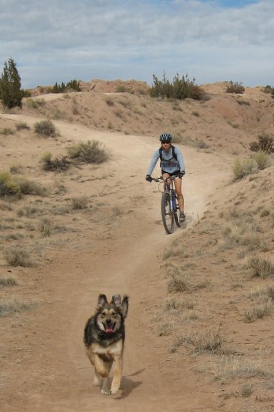 Roxy leads Susan back to the car