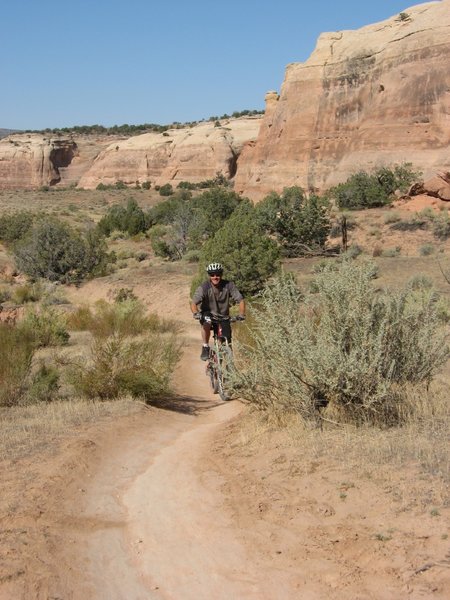 Riding the great singletrack on the Horsethief Loop