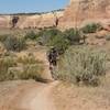 Riding the great singletrack on the Horsethief Loop