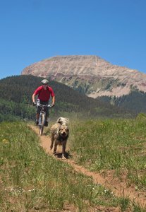 Rich & Roxy on the Engineer Moutain Trail, Durango