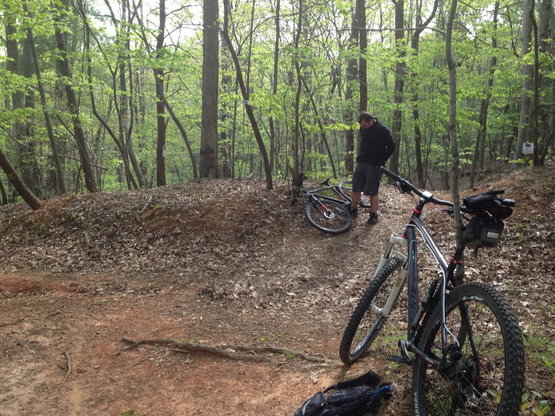 Turn left down logging road to Inner Loop segment of trail.