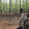 Turn left down logging road to Inner Loop segment of trail.