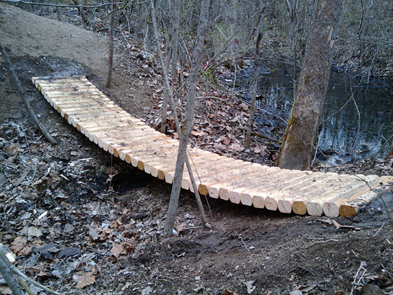 Suspended Bridge