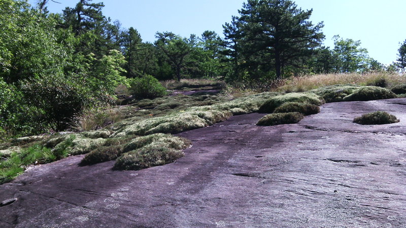 View up to trail from bottom of unique rock feature of Big Rock trail. Do not walk on the moss; it is an endangered plant species.