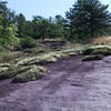 View up to trail from bottom of unique rock feature of Big Rock trail. Do not walk on the moss; it is an endangered plant species.