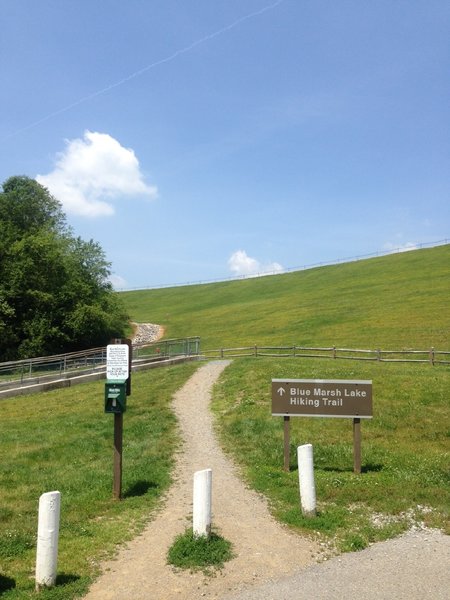 The Lake Broder Trail starts from lower lot of Stilling Basin