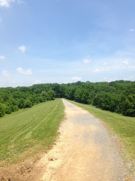 Parts of the Lake Border Trail are purpose built (non public) for car access. Roads like this allow park employees to get into hard to reach areas for trail maintenance, emergency access and supervision.