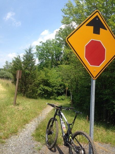 Old Church Road trail entrance/exit. NOTE - this short section is typically muddy. To bypass (and we do this a lot) ride on Bernville Rd (Rt183). Rt 183 can be quite busy but there is a large shoulder to ride on.