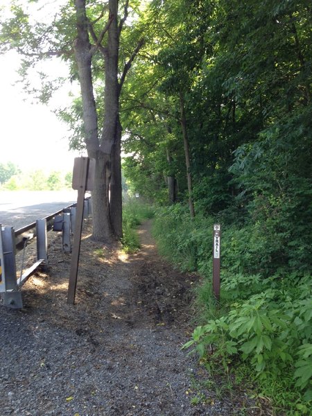 Re-enter/exit the trail right after this guardrail on N. Heidelberg Road. This picture also has a good shot of a trail marker.