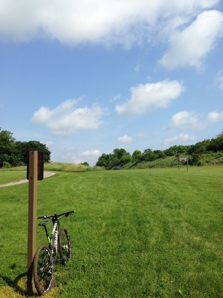 Aim for the car in this picture. The trail picks back up just on the other side of that mound of wildflowers.