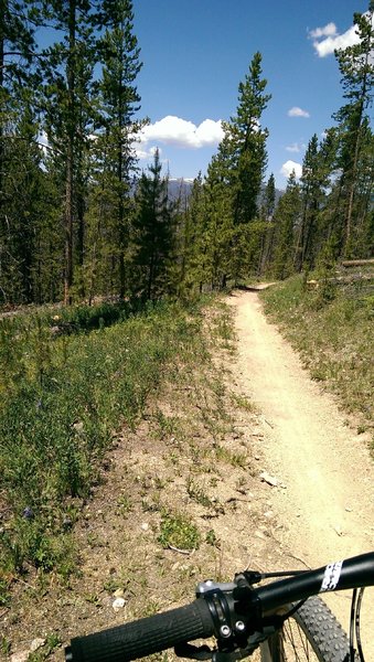 Tenderfoot Mountain in the distance