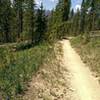 Tenderfoot Mountain in the distance