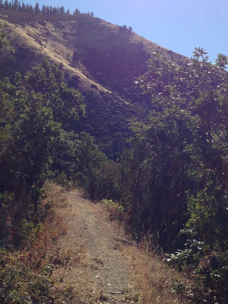 Along the Sterling Mine Ditch Trail