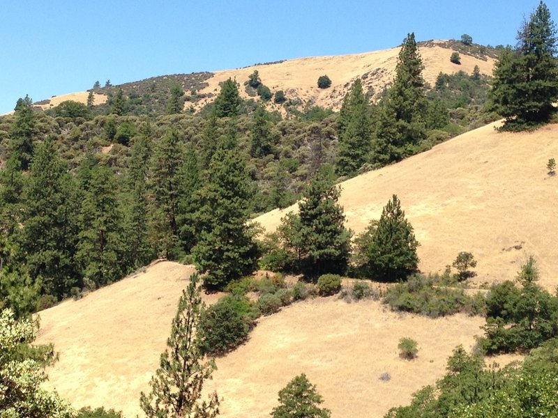 The Sterling Mine Ditch cuts across the hillside between Bear Gulch and Tunnel Ridge