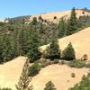 The Sterling Mine Ditch cuts across the hillside between Bear Gulch and Tunnel Ridge