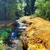 Bizarre tailing piles from the old gold mines