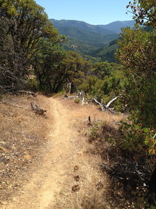 Near the top of the Bear Gulch Trail