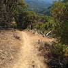 Near the top of the Bear Gulch Trail