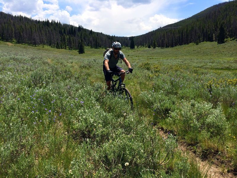 Meadows on the Hippo Trail