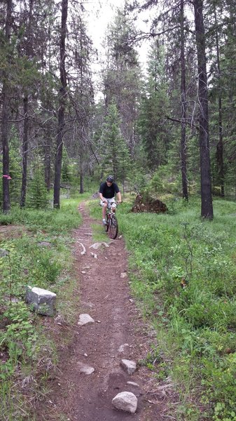 Riding a section of Coyote Loop just before the decent down Coyote Rock.