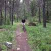 Riding a section of Coyote Loop just before the decent down Coyote Rock.