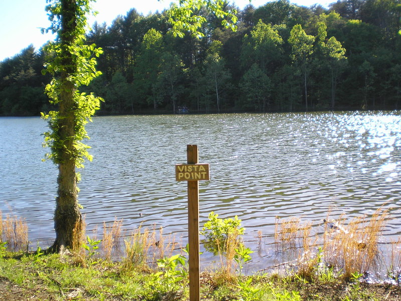 View from the picnic table.