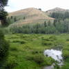 Meadows near the top of West Fork.