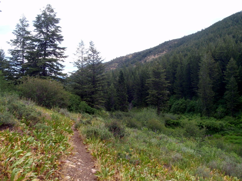 Perfect overcast July day for a ride!