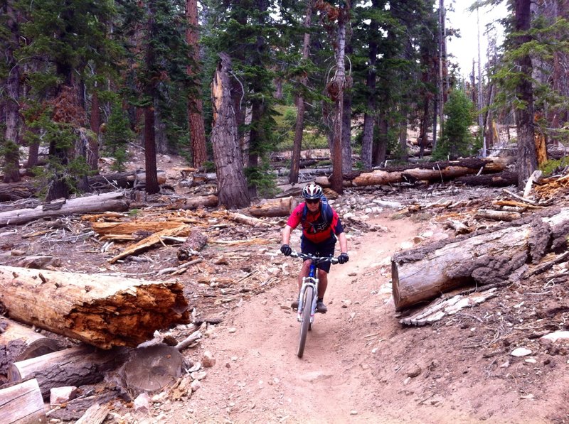 Dropping down between the saddle and Big Meadow