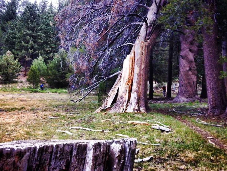 Bottom of Cannell Meadow, right near the Rock... almost to The Plunge.  No, I really mean it this time.