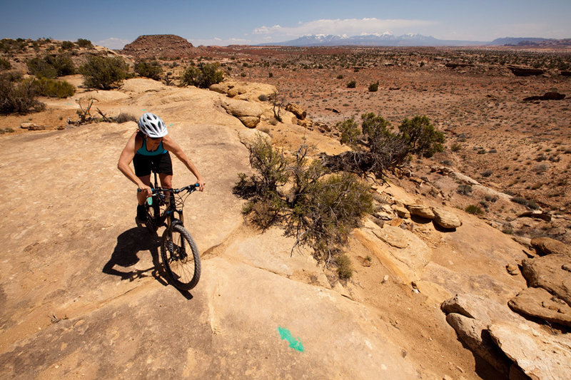 Salt Wash has plenty of slickrock expanses with great views of the La Sal Mountains