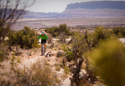 Climbing back towards an intersection with Sovereign through the sun baked desert