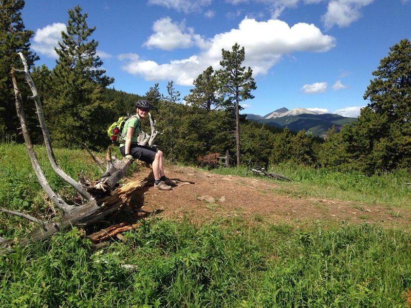 The view west to Moose Mountain