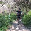 Riding along the bank of the creek on Windy Loop