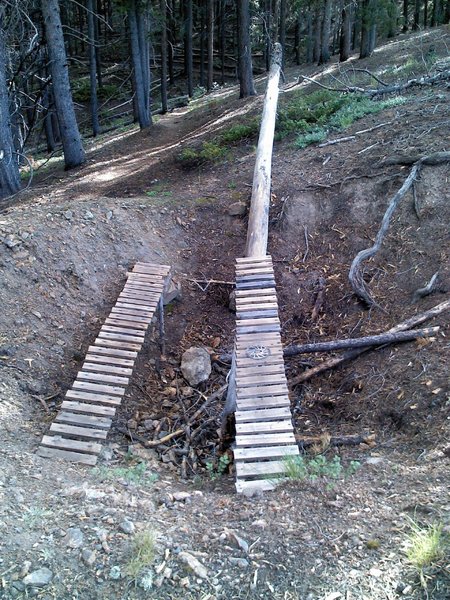 Some man made obstacles throughout the trail.