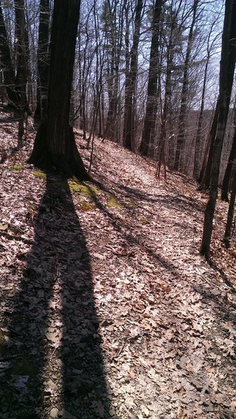 View of Big Merlin looking uphill from the switchback.