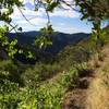 When you can take your eyes off the trail, Lower HJ has fantastic views that will have you forgetting you're not far from civilization.