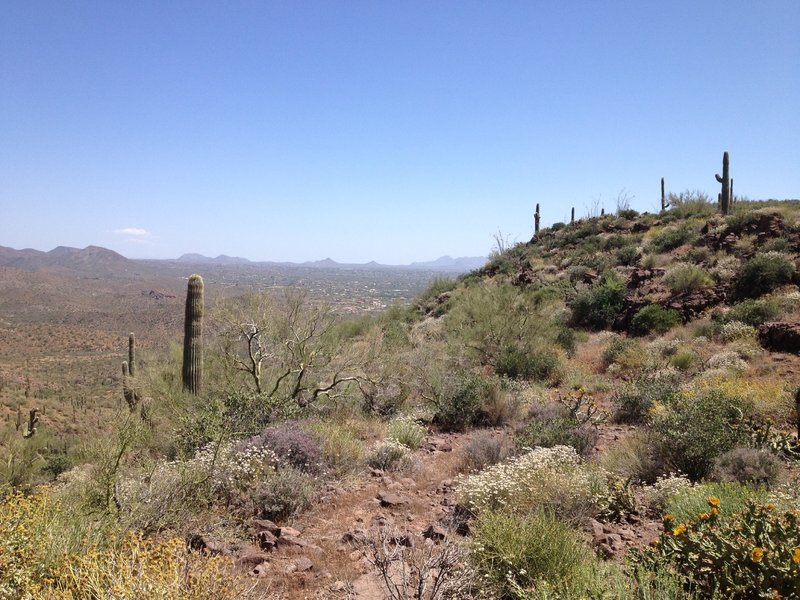The view from the "Pass" on Spur Cross Trail. The climb is worth the view.