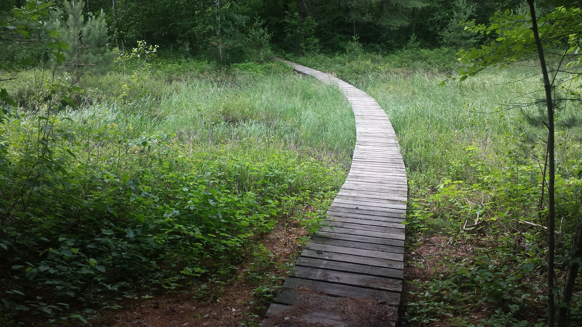 Makwa Bridge