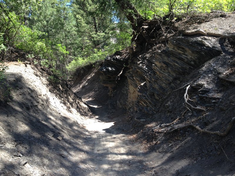 Trail goes straight up the gulch.