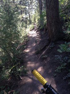 Upper portion of Hidden Valley trail